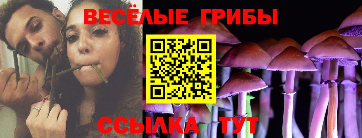 дарнет шоп  Галлюциногенные грибы прущие грибы  Вход с VPN  Пыть-Ях 